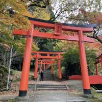 【兵庫県】鳥居と紅葉が美しい秋の有子山稲荷神社へ！