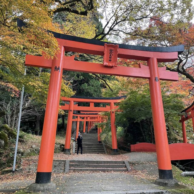 【兵庫県】鳥居と紅葉が美しい秋の有子山稲荷神社へ！