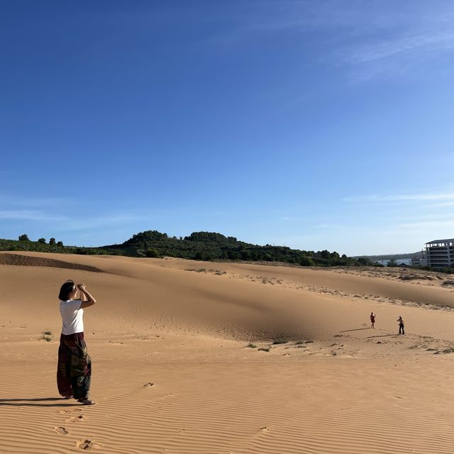 사막 위를 걷는 당신, 지금 여기 베트남