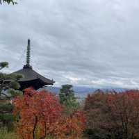盛茂紅葉中體驗靜謐境界 – 常寂光寺