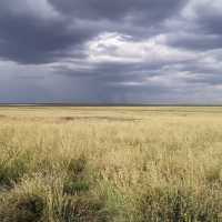 A most SPECTACULAR photo Safari in Tanzania 