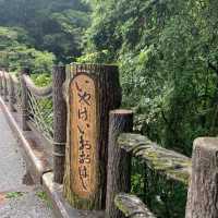 超令超有架勢祖谷蔓橋🫶🏻日本🇯🇵仙境