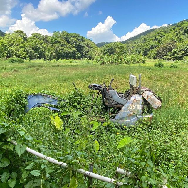 行山日