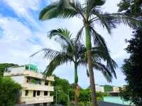 Mui Wo on Lantau Island Hong Kong