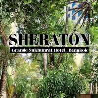 มาพักผ่อนกันที่ Sheraton Grande Sukhumvit