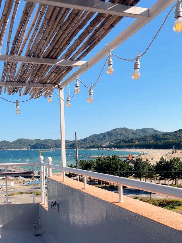 동해 바다 뷰가 한눈에 보이는 감성 카페☕️ 