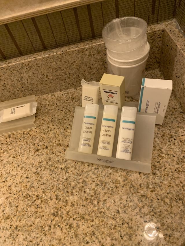 多倫多中轉站的酒店