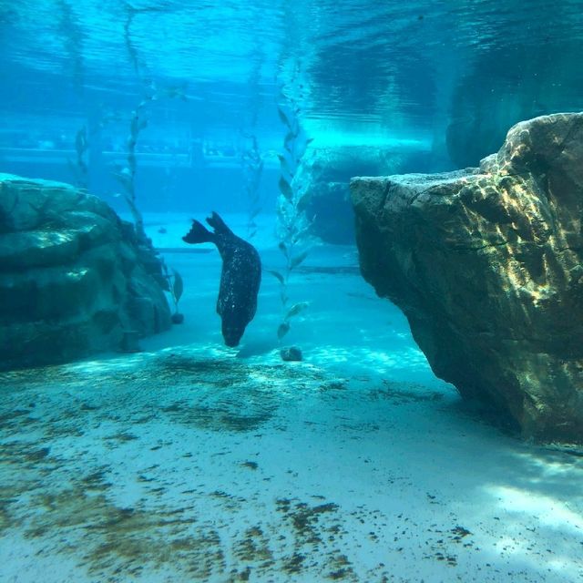 Lincoln Park Zoo, Chicago 