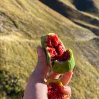 Yellow cliff, mineral water and figs