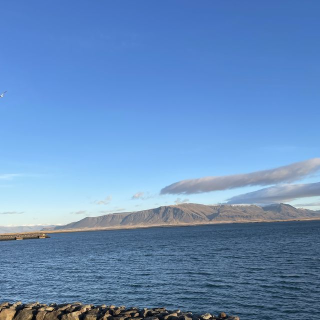 🇮🇸冰島遊記 Þúfa 小草丘藝術裝置