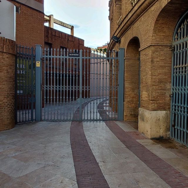 Bull Fighting Arena