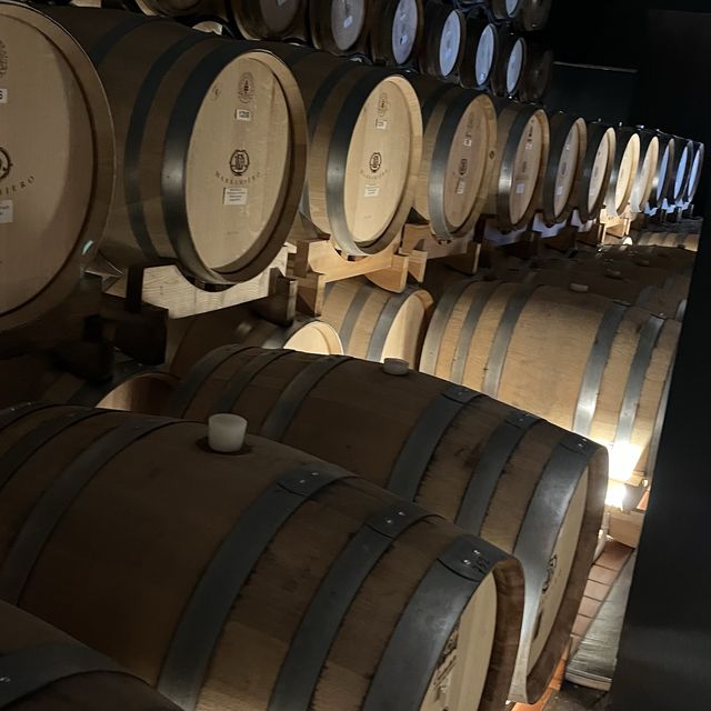 The Marramiero Winery in Abruzzo Italy 🇮🇹 