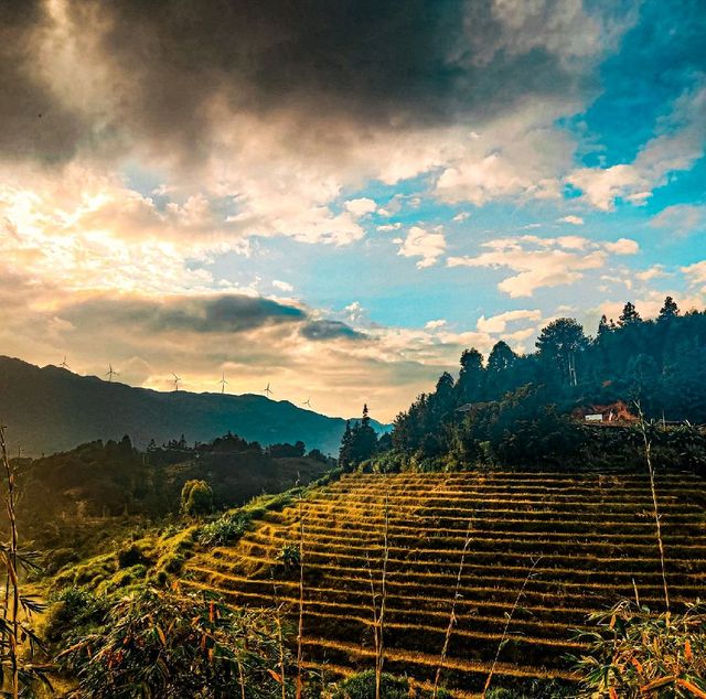 The Tianluokeng Tulou Cluster🍃