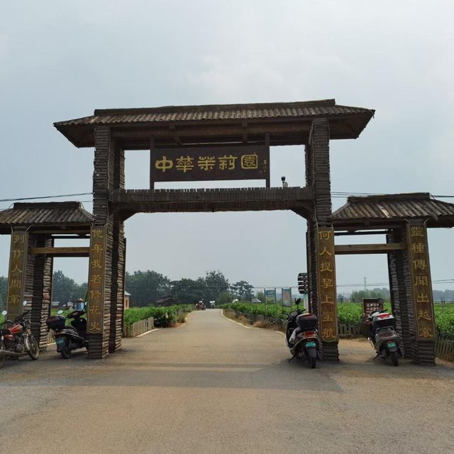 廣西南寧：中華茉莉園