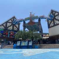 Chongqing Ocean Park!