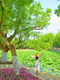 In Kunming, you can always trust the romance of Green Lake Park.