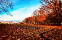 Autumn colors by the Neva River.