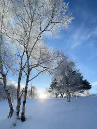 Climbed to the summit of Mount Ryoukou in Japan, one of the 100 famous mountains, during the severe winter season.