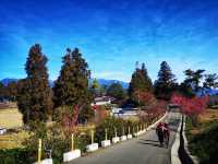 February at Fushoushan: Endless Scenery to Admire