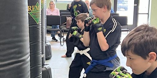 FREE Karate Workshop | PMA Noblesville