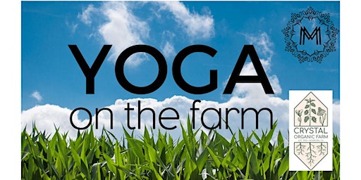 Yoga & Herbal Tea on The Farm | Crystal Organic Farm