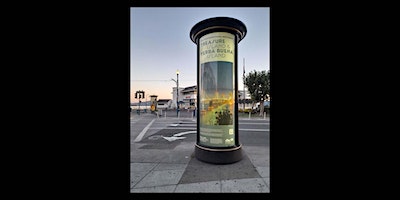 One Year on Treasure Island and Yerba Buena Island with Five Photographers | 1 Avenue of the Palms