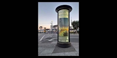 One Year on Treasure Island and Yerba Buena Island with Five Photographers | 1 Avenue of the Palms