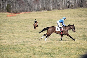 Rappahannock Hunt Point-to-Point Race | 13257 Durantes Curve