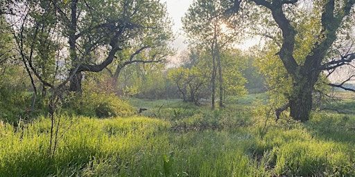 Writing Spring: A Generative Workshop with A. Manette Ansay | 129 N Harrison Ave