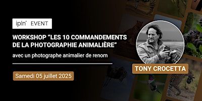 IPLN Lyon - Les 10 commandements de la photographie animalière | IPLN - Spécialiste Photo et Vidéo