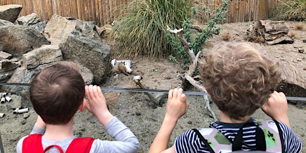 RZSS Summer Explorers 2025 - Edinburgh Zoo | RZSS Edinburgh Zoo