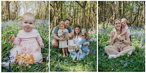 BLUEBELL MINIS by Emily Thomson Photography | Guestling Wood
