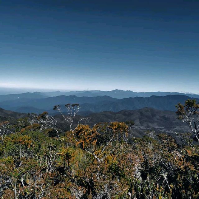 Leuser national park montain