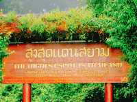 ดอยอินทนนท์ เชียงใหม่
