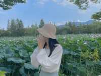 양평 드라이브 추천 :: 양평 두물머리🏞