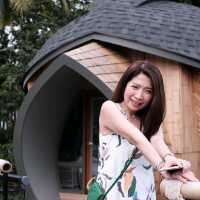 TURTLE BAY HUA HIN