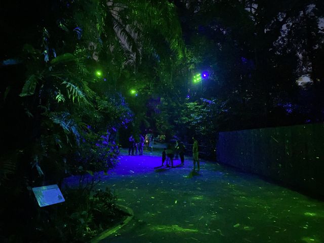 Rainforest Lumina 2021