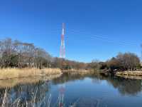 川島パーキングエリアにあるかなり大きい公園！【河川環境楽園】