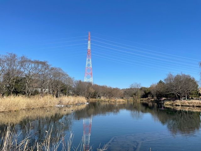 川島パーキングエリアにあるかなり大きい公園！【河川環境楽園】