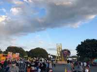 【茨城】国営ひたち海浜公園 〜秋・コキア〜