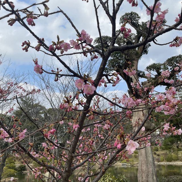 広島 縮景園