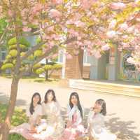 보라매공원 겹벚꽃 보러가세요🌸💓🌸