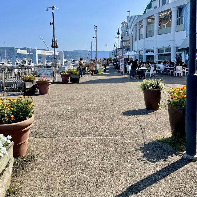 あさぎり牛乳の飲み忘れはございませんか？