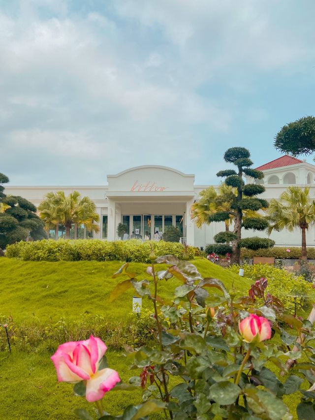 香港｜大埔 Billow 湖景歐式餐廳 好像去了旅遊🌿