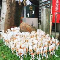 【京都】足腰・病気平癒の「いのしし神社」