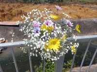 新田信芯園農莊