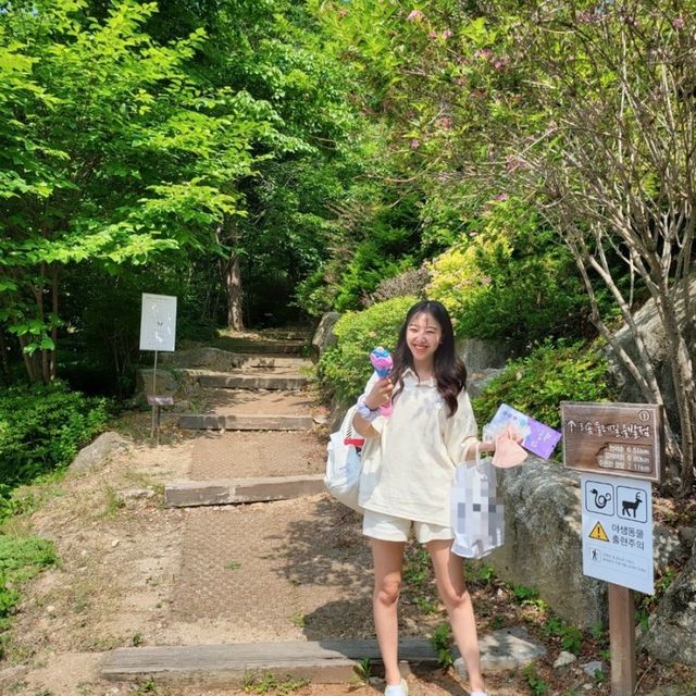 ⭐️숲 속 프라이빗 힐링숙소⭐️ :: 제천 리솜포레스트 1박 2일 여행
