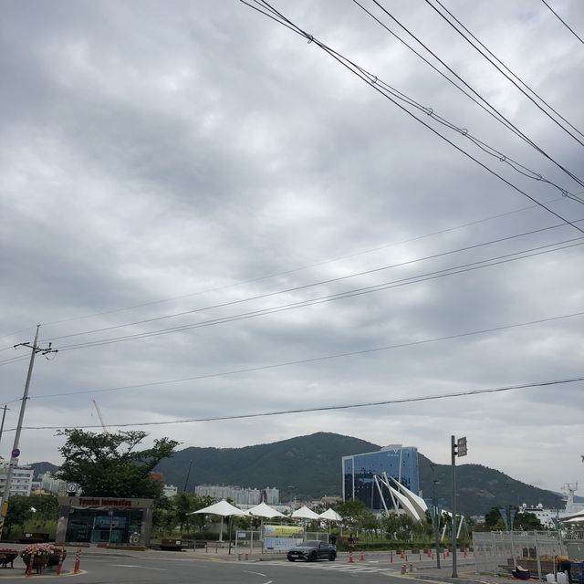 여수에서 해상케이블카 타고 오동도 둘러보기! 