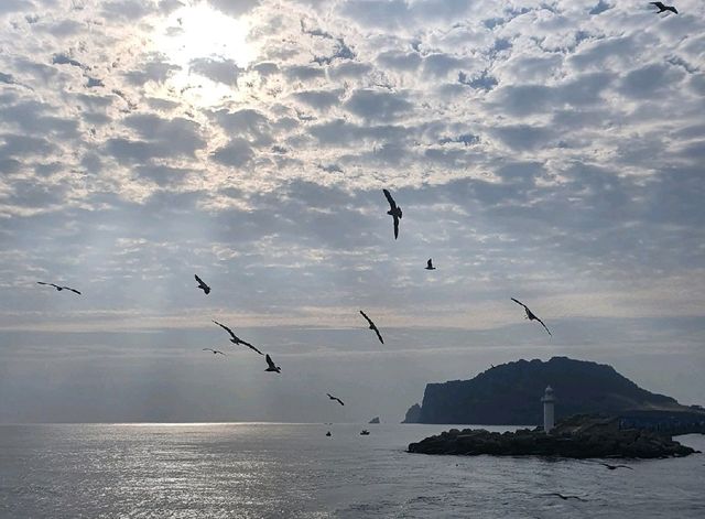 [제주] 우도 산호해변💙 동양에서 유일한 하얀 모래 해수욕장을 볼 수 있는 곳!