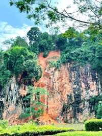 Morning Walk @BukitBatok Nature Park